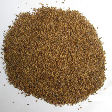 ISO Factory Supply Wolfberry Goji Extract Powder Goji berry seeds